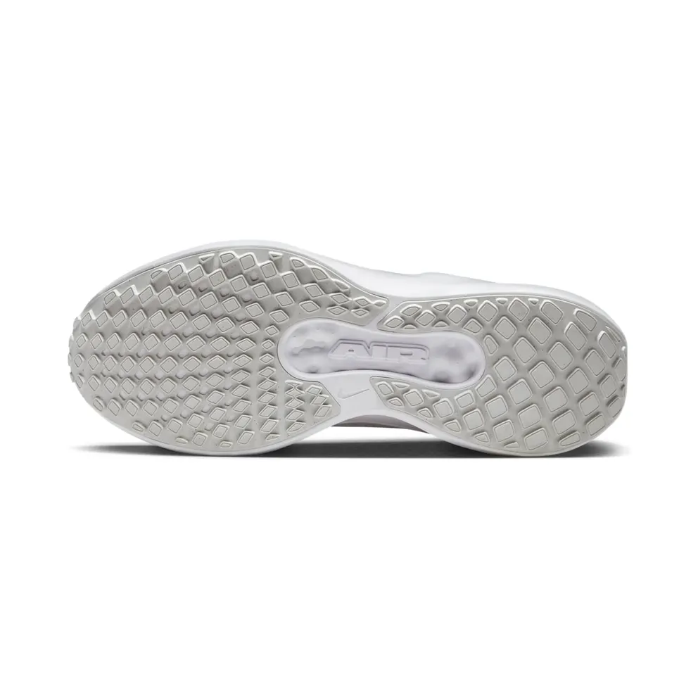 Nike Winflo 11 White Photon Dust (FJ9510-100)