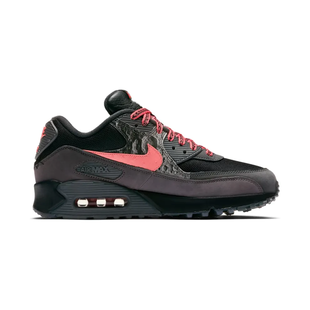 Nike Air Max Premium 90 ‘Side B’ (2019) (CI6394-001)