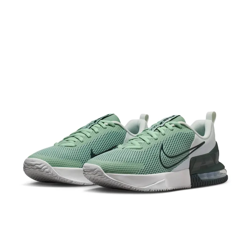 Nike Alpha Trainer Steam/Spruce Aura/Off White/Black Spruce (FQ1833-015)