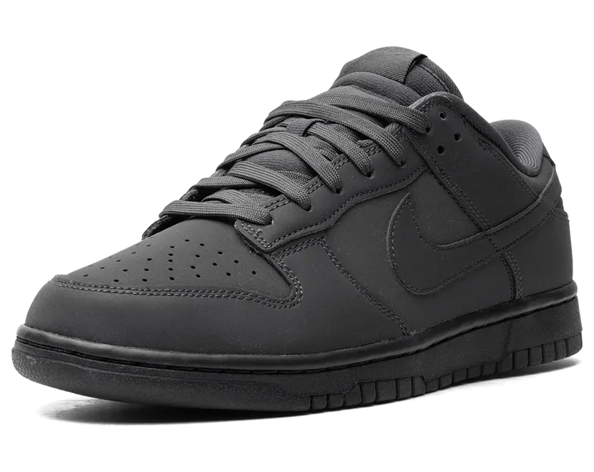 nike-dunk FZ3781-060