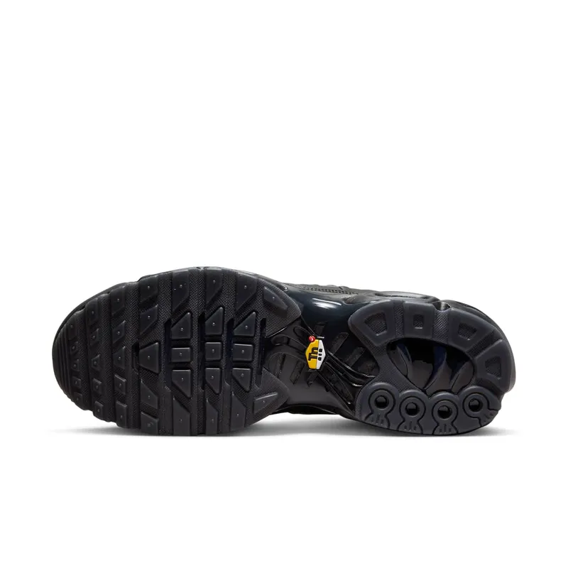 Nike Air Max Plus x A-COLD-WALL* Black/Light Iron Ore/Obsidian/Off-Noir (FD7855-001)
