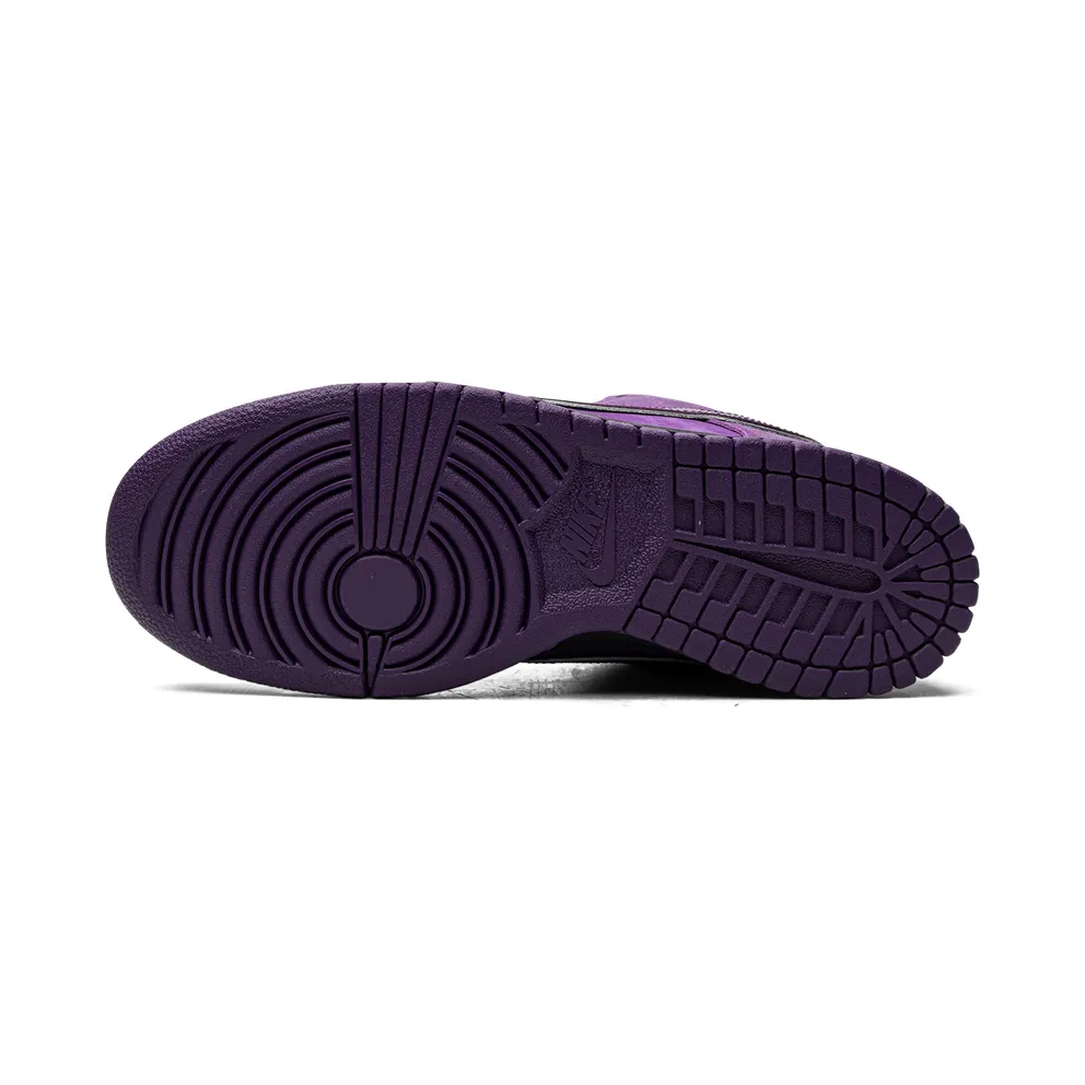 Nike SB Dunk Low Pro OG QS “Concepts – Purple Lobster Special Box” (BV1310-555A)