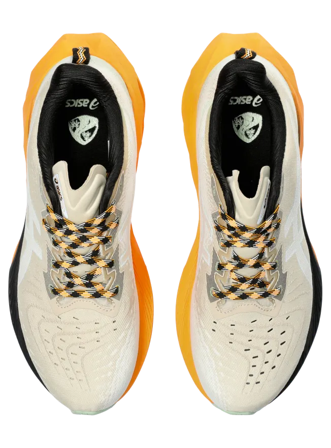 asics-novablast 1011B850.250
