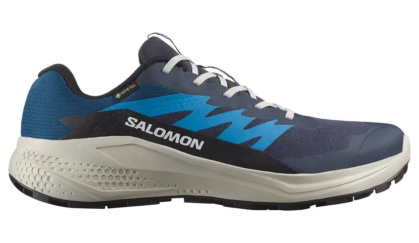 Salomon Alphaglide Gore-Tex Blue Night Lunar Rock French Blue (L47975100)