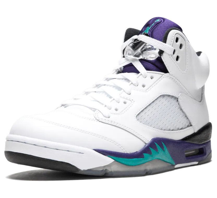 Air Jordan 5 Retro Grape (136027-108)