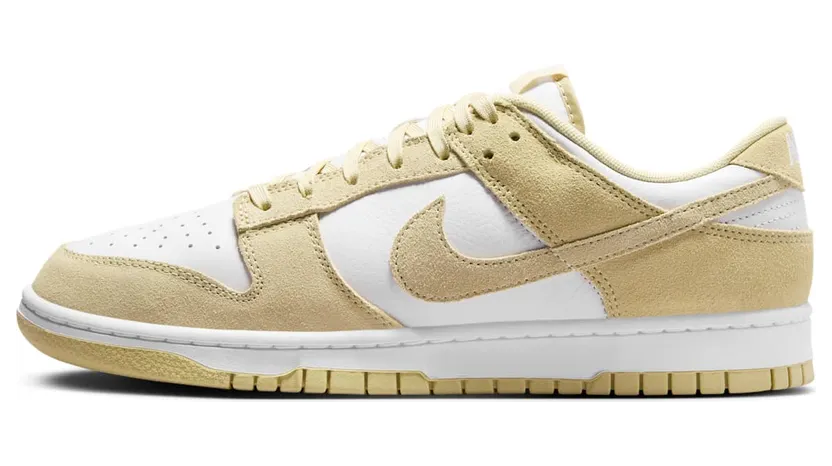 Nike Dunk Low FQ8249-102