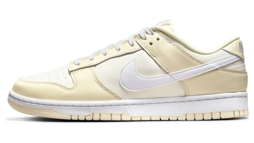 Nike Dunk Low DJ6188-100