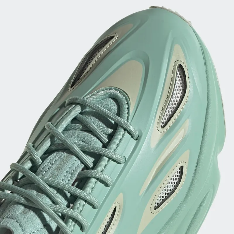 adidas-x-raf-simons-ozweego GX2429