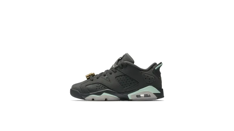 Jordan 6 Retro Low Anthracite Mint Foam (GS) Anthracite/Anthracite-Mint Foam-Metallic Gold (768878-015)