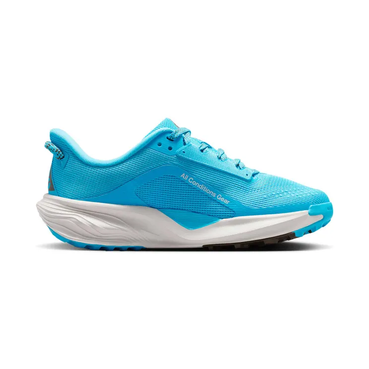nike-air-pegasus IH2305-400