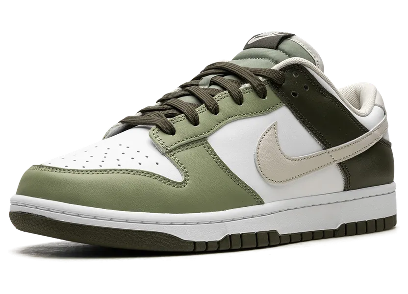 nike-dunk FN6882-100