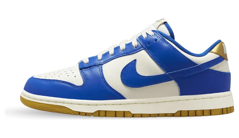 nike-dunk FB7173-141