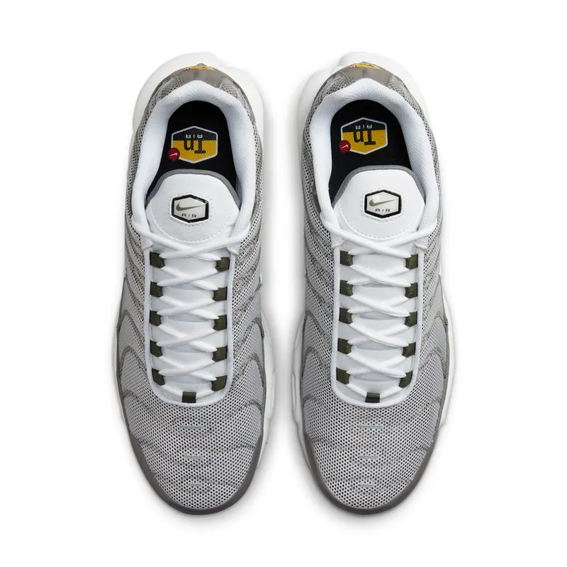 Nike Air Max Plus Flat Pewter (DV7665-002)
