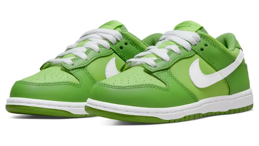 nike-dunk DH9756-301