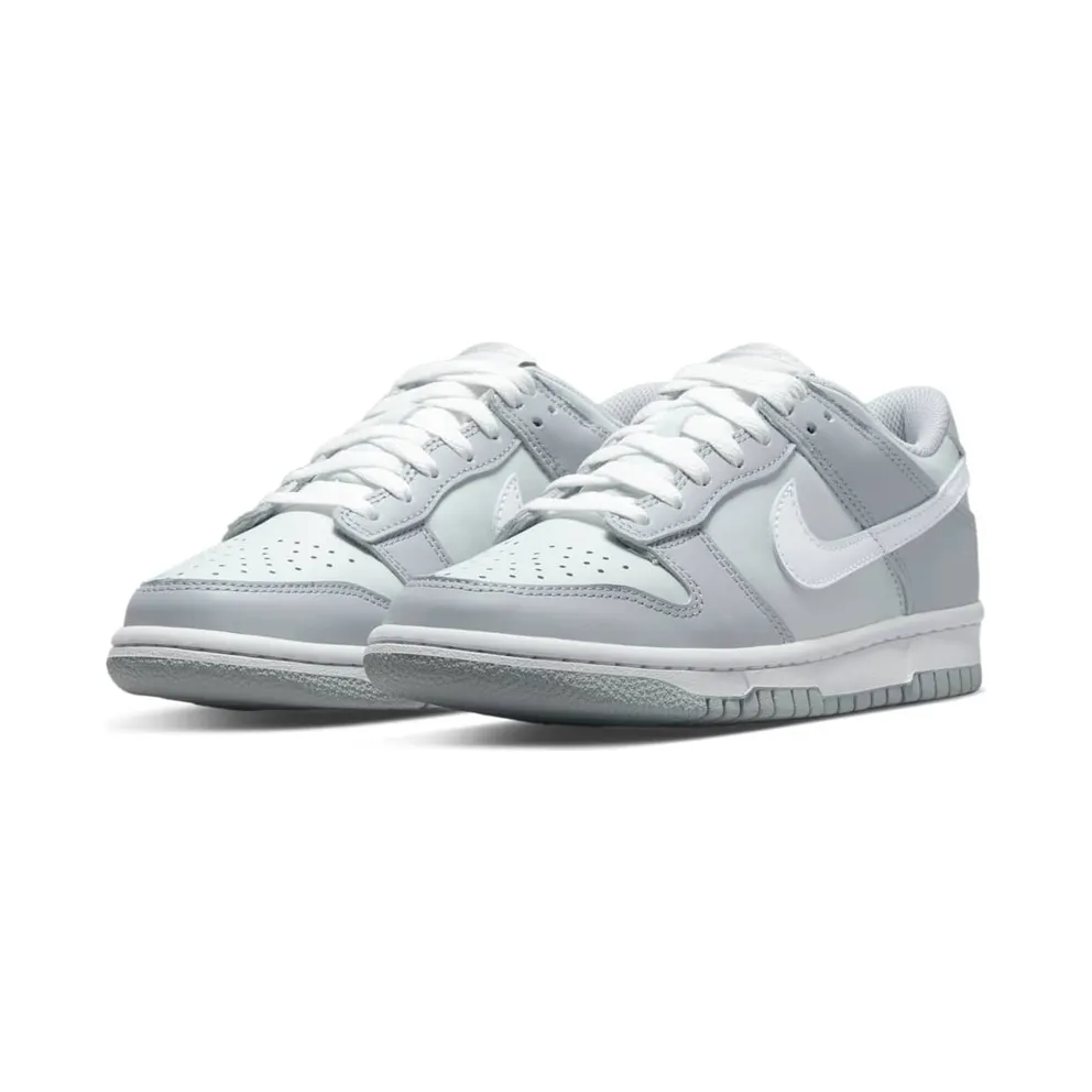 Nike Dunk Low Two-Toned Grey (GS) (DH9765-001)