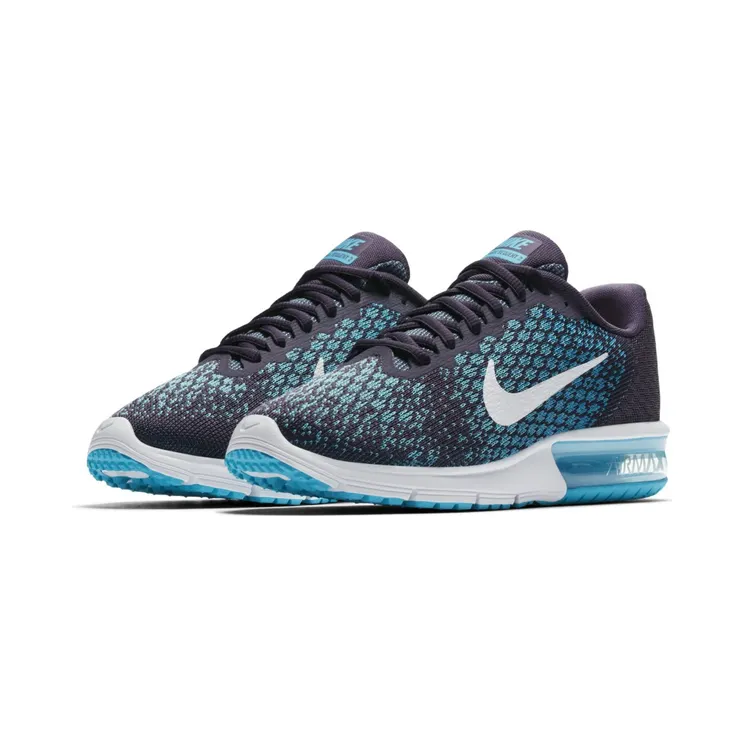 Nike Air Max Sequent 2 Dark Raisin (W)
