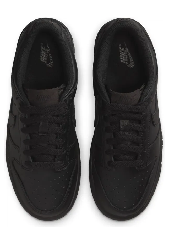 nike-dunk FB9109-009