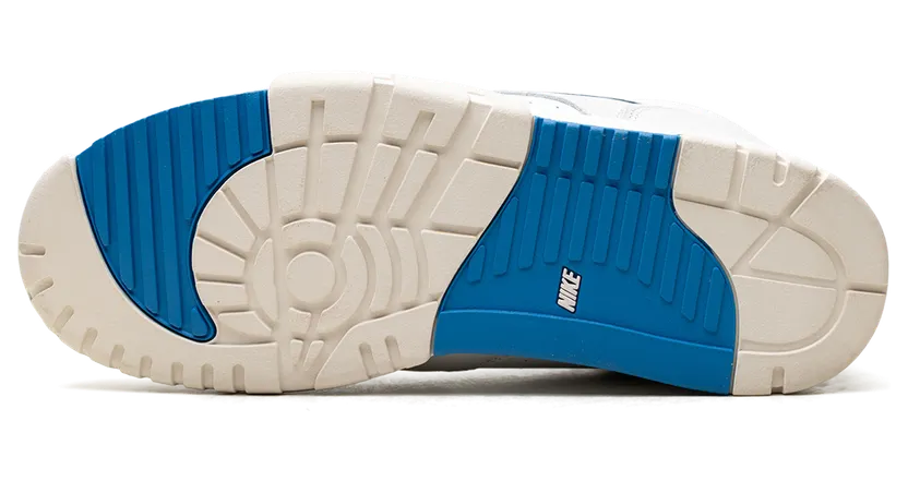 air-jordan-trainer-1 FJ4183-100