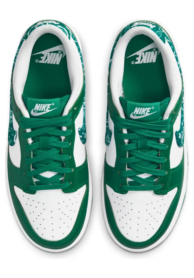 nike-dunk DH4401-102
