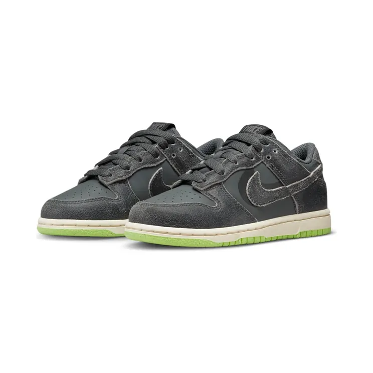 nike-dunk DQ6216-001