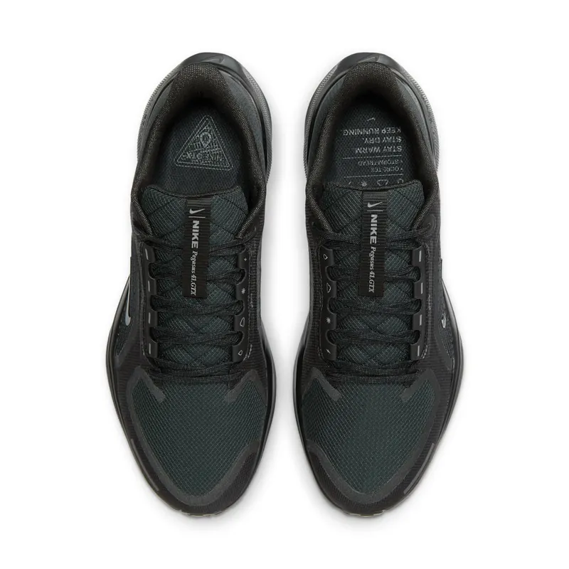 Nike Air Zoom Pegasus 41 GTX “Black Anthracite” (FQ1356-001)