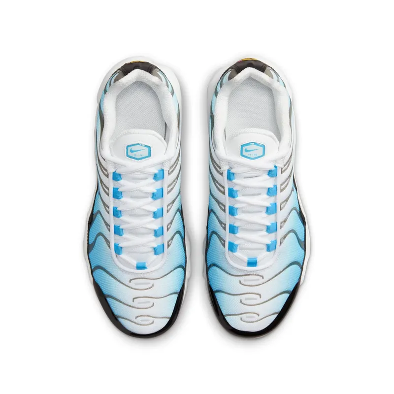 Nike Air Max Plus Ice (FD9767-100)