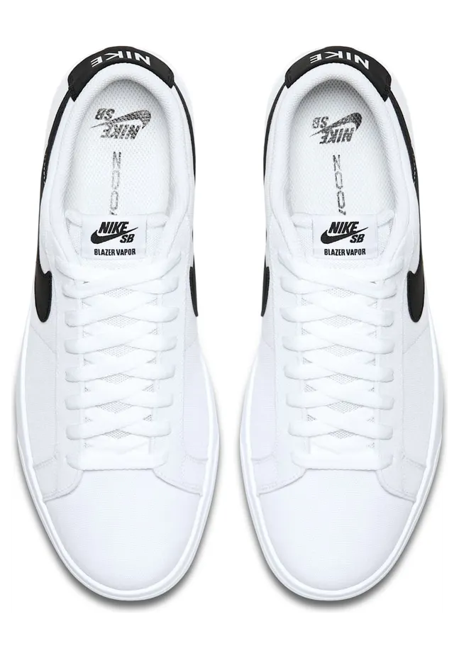 nike-sb 902663-101