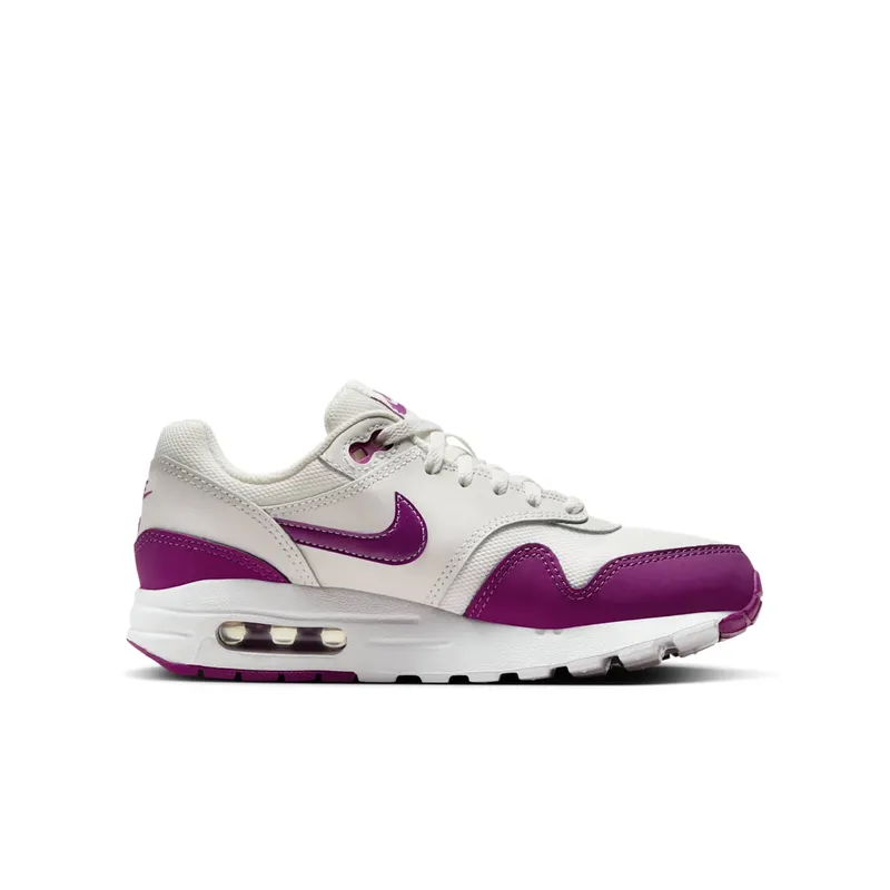 Nike Air Max 1 Summit White Viotech (DZ3307-109)