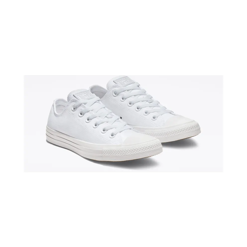 Converse Mono Colour Chuck Taylor All Star Low Top (1U647)