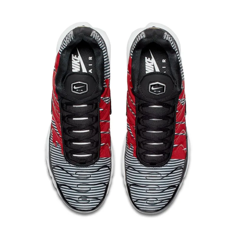 Nike Air Max Plus Striped Black White Black/White-Pure Platinum (AT0040-001)