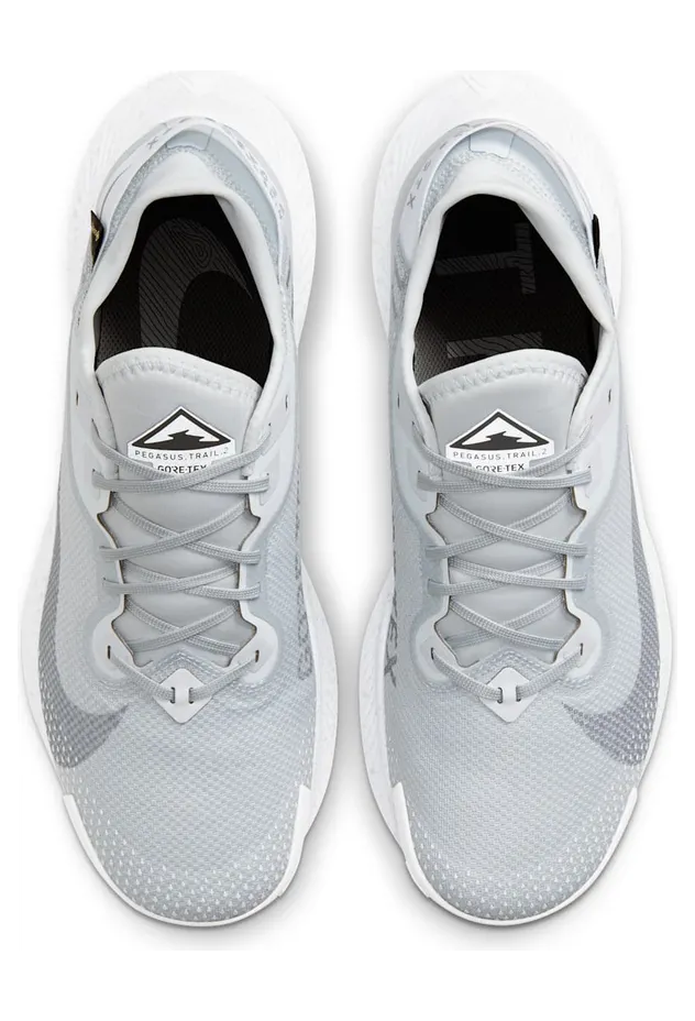 nike-air-pegasus DC1933-100