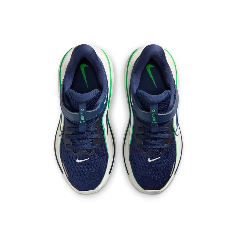 Nike Winflo 12 Blue (IQ9768-400)