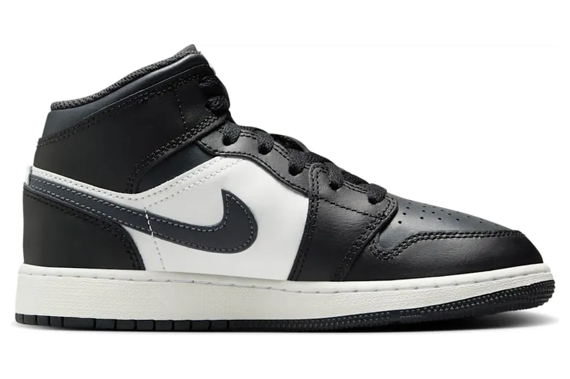 air-jordan-1 DQ8423-010