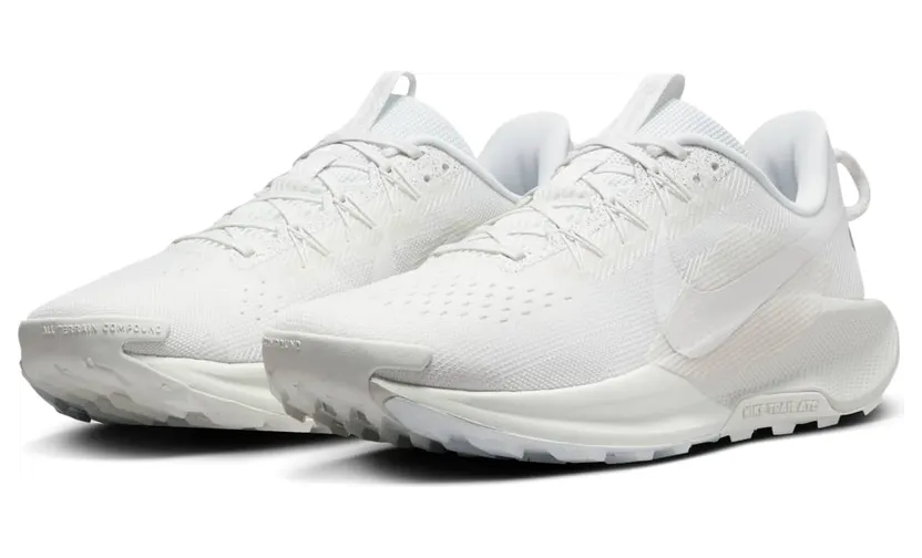 nike-air-pegasus DV3864-101