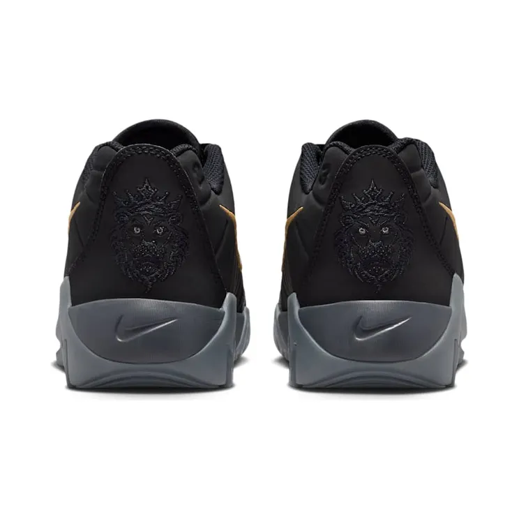 lebron-witness-9 HV2270-004
