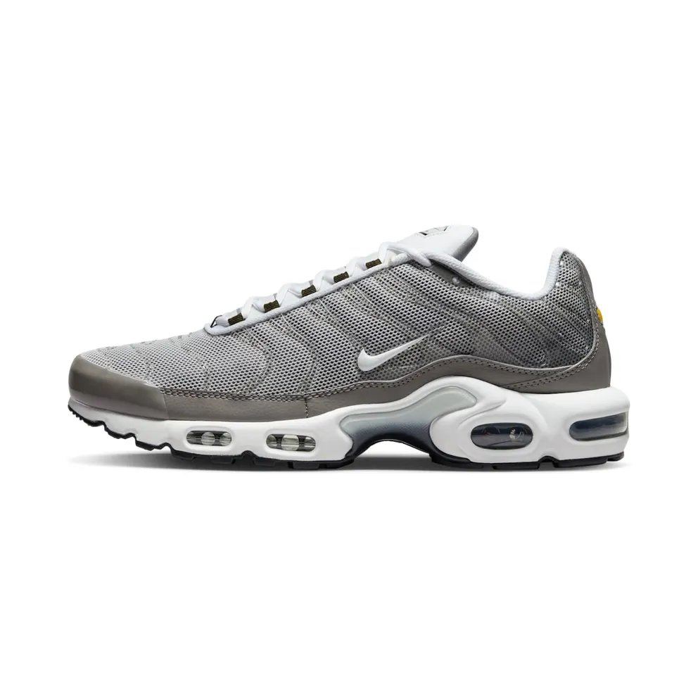 Nike Air Max Plus Flat Pewter (DV7665-002)
