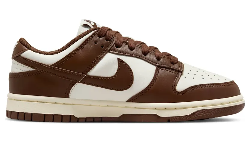 nike-dunk DD1503-124