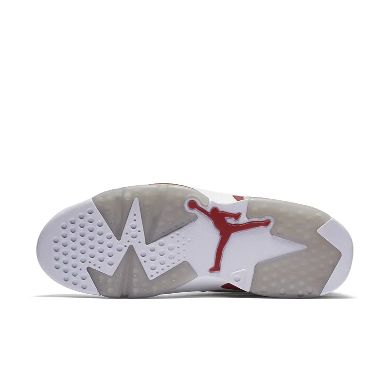 Air Jordan Nike AJ 6 VI Retro Alternate Hare (384664-113)