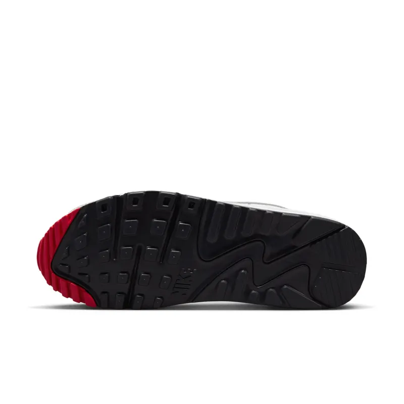 Nike Air Max 90 Light Iron All (DX0116-101)