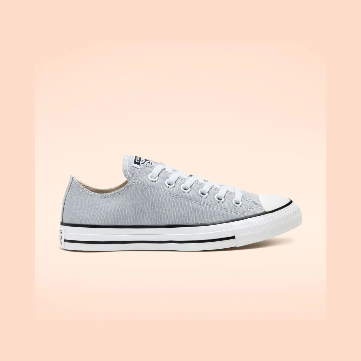 converse-chuck-taylor-all-star 166710C