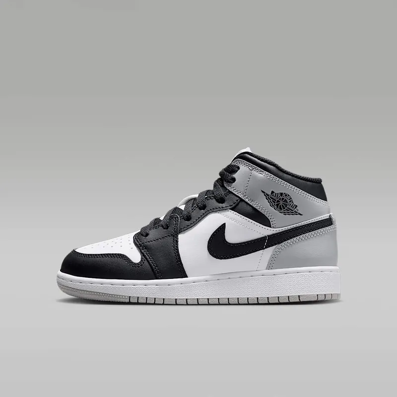air-jordan-1 DQ8423-101