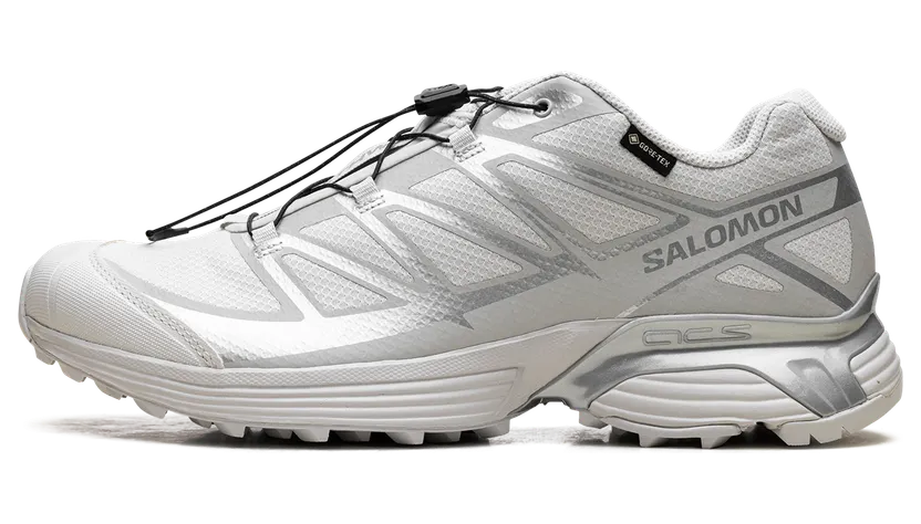 Salomon XT-Pathway GTX “Lunar Rock Alloy” (L47730-900)