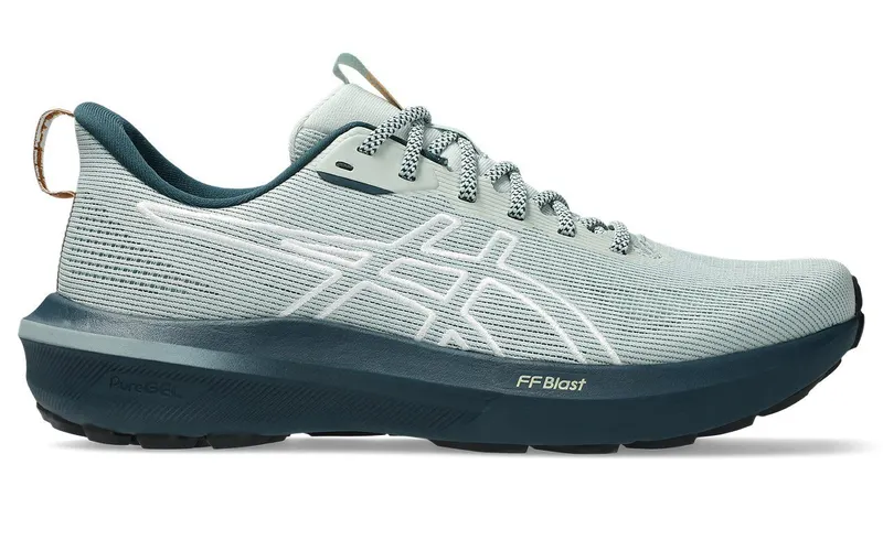 ASICS GT-1000 14 TR Nature Bathing Lichen Rock (1011C131-300)