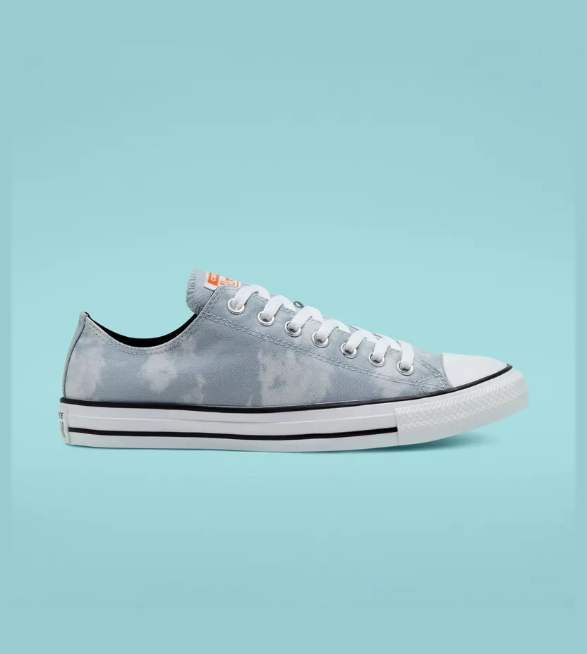Converse Back to Shore Chuck Taylor All Star Low Top White/black/white (167522C)