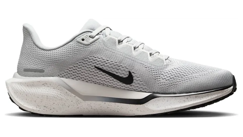 nike-air-pegasus HQ3509-077