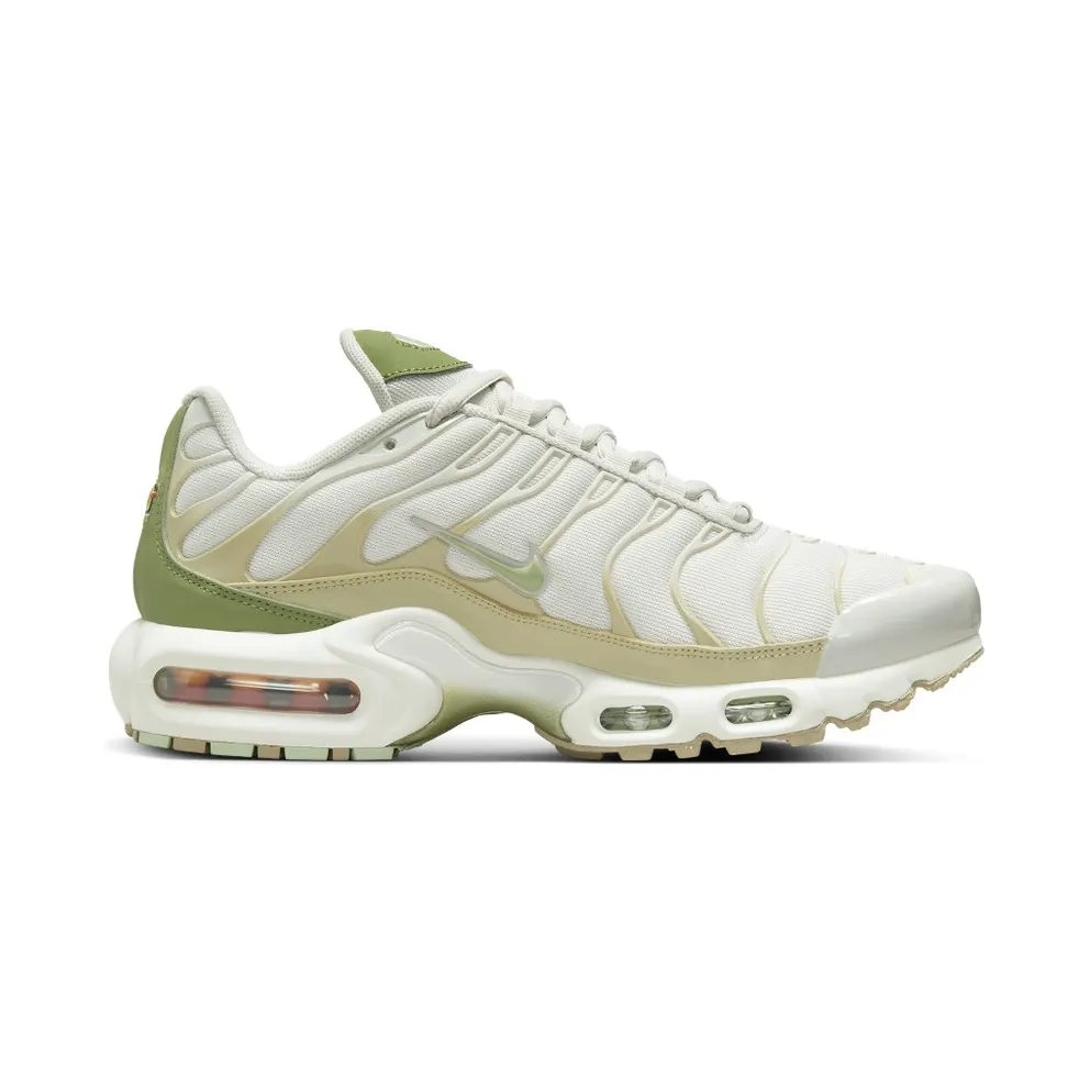 Nike Air Max Plus Grey (DX8954-001)