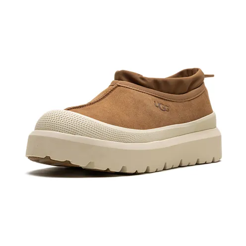 ugg-tasman 1144096-CWTC