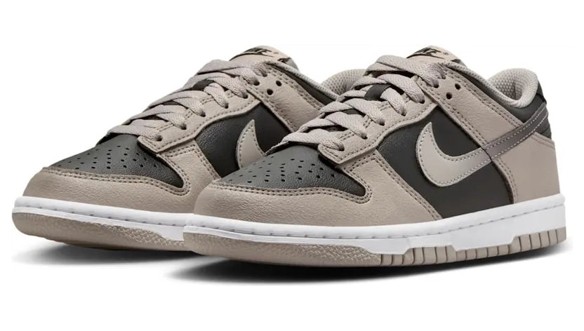 nike-dunk HV6363-009