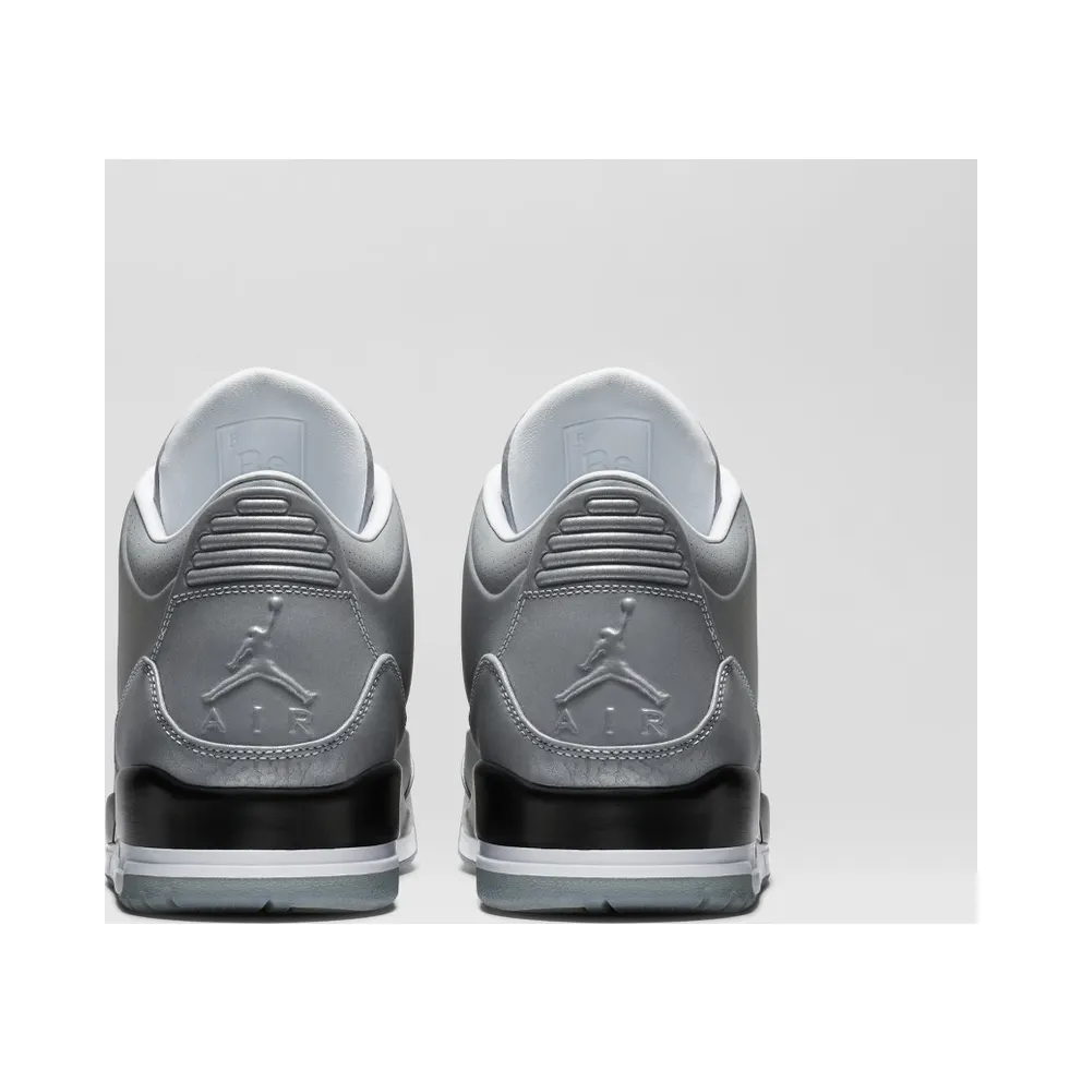 Jordan 3 Retro 5Lab3 Silver Reflect Silver/Reflect Silver-Black-White (631603-003)