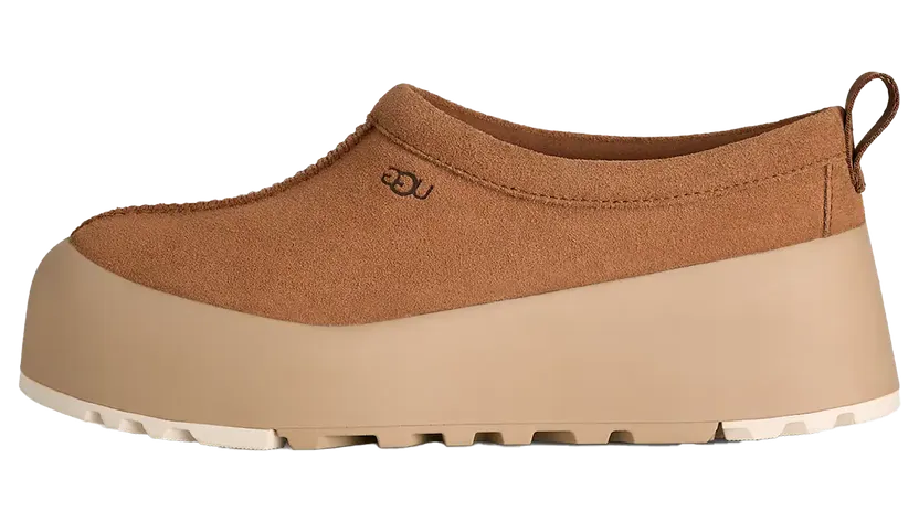 Ugg Tasman 1174011-CTMS